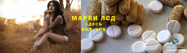 спайс Арсеньев
