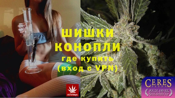 спайс Арсеньев